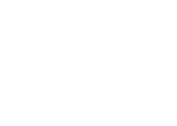 workshops building bridges